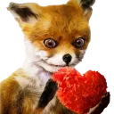 Sticker AdeleMorseTaxidermy - 4