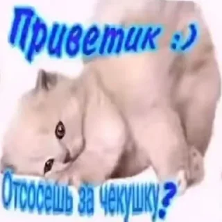 Стикер Больше стикеров 👉🏻 @stickertg4 - 9