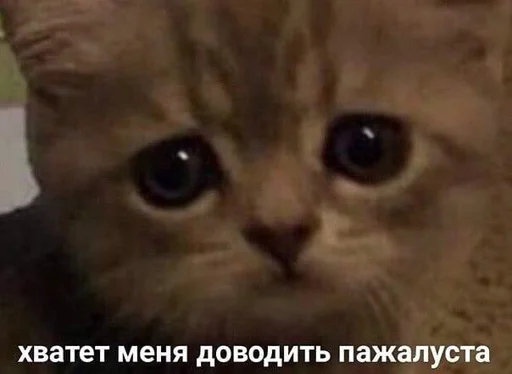 Sticker Memchiki - 3