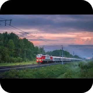 на открытом воздухе небо трава