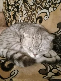 Sticker ФН2 @Stikerhi_bot - 8