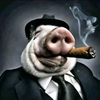 Sticker Головачка @Shrifty_textbot - 4