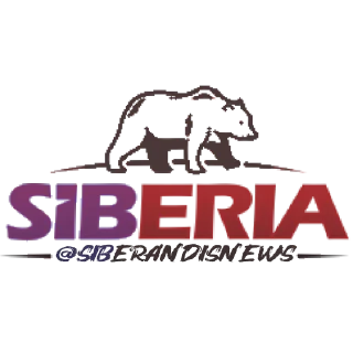 Sticker ☆☆Rough Bear ✌️(Грубый Мишка) - 6