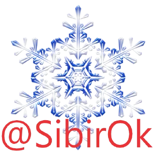 Sticker ☆☆Rough Bear ✌️(Грубый Мишка) - 1