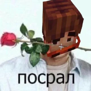 Стикер JDH и чуть Ло+Дилан @Tgthemstickbot - 3