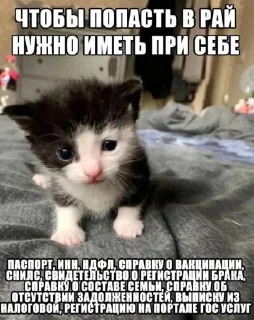 Sticker дед насвай @StikerProbot - 11