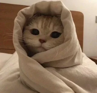 Sticker Стикеры для бабаек @tgfonts_bot - 6