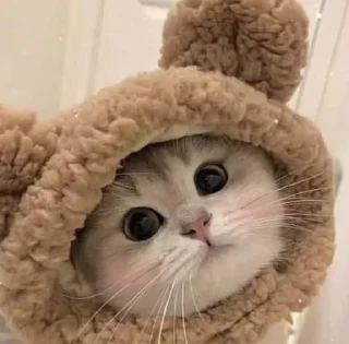 Sticker Стикеры для бабаек @tgfonts_bot - 2