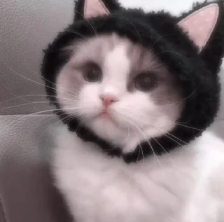 Sticker Стикеры для бабаек @tgfonts_bot - 8