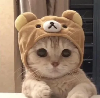 Sticker Стикеры для бабаек @tgfonts_bot - 1