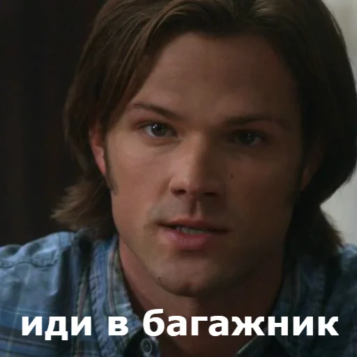 человеческое лицо Человек бровь