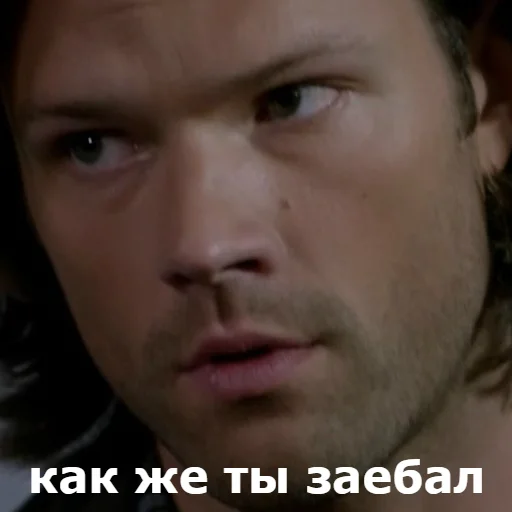 человеческое лицо бровь Человек