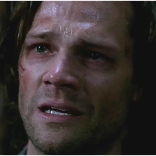 человеческое лицо Человек лоб