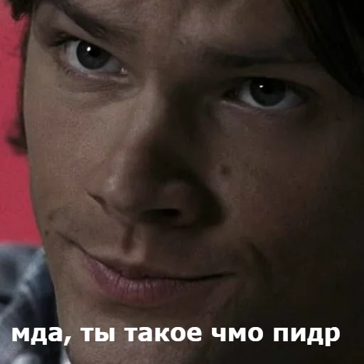 человеческое лицо бровь Человек