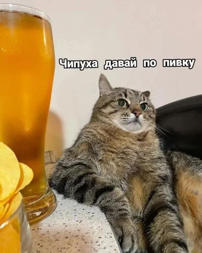 Ништяк @Stikerhi_bot - 