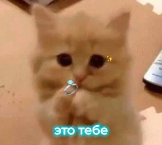 Sticker Ништяк @Stikerhi_bot - 10