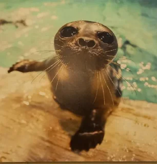 Стикер Инженер @Stikerhi_bot - 2