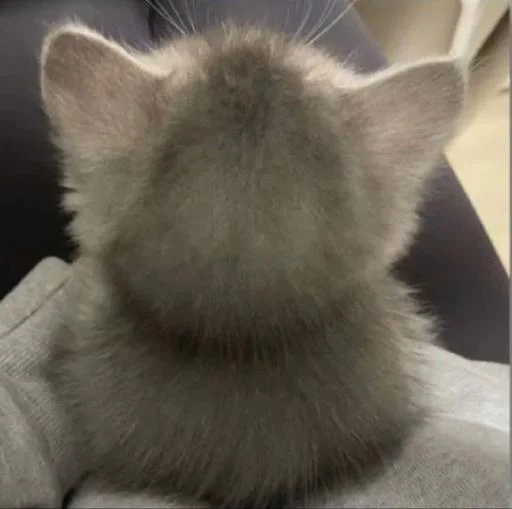 Sticker S4ZelrSOTv_by_Themki_robot - 1