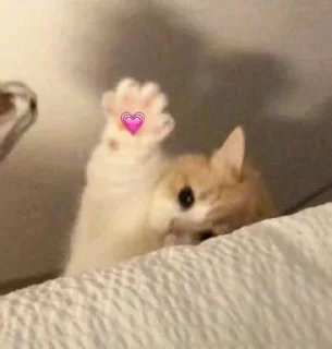 Sticker ⭐ᜥᝪᝨᜤᜥᜤᜤ🐈‍⬛ @Themki_robot - 1