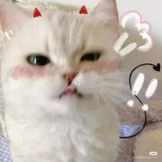 Sticker ⭐ᜥᝪᝨᜤᜥᜤᜤ🐈‍⬛ @Themki_robot - 9