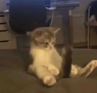 Sticker ⭐ᜥᝪᝨᜤᜥᜤᜤ🐈‍⬛ @Themki_robot - 11