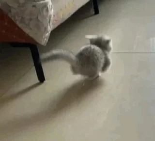 Sticker ⭐ᜥᝪᝨᜤᜥᜤᜤ🐈‍⬛ @Themki_robot - 5