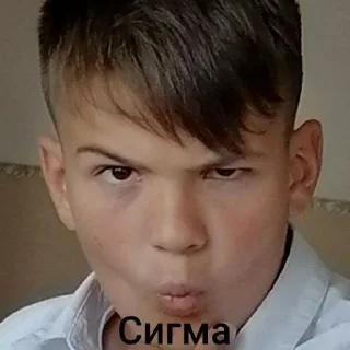 Sticker Кошка сигма @Stikerhi_bot - 8