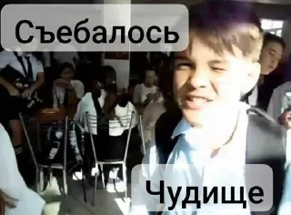 Sticker Кошка сигма @Stikerhi_bot - 1