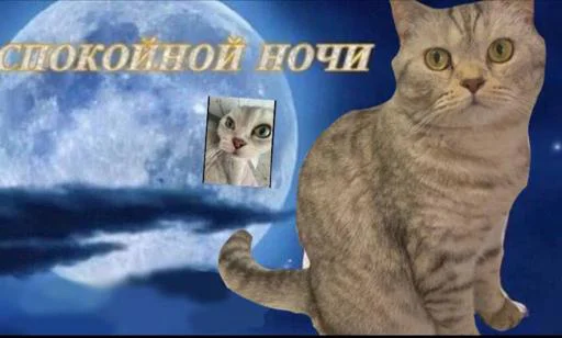 Sticker S56Ptzp2YT_by_Moistick_bot - 1