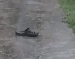 Стикер ермак корнеплод @Moistick_bot - 1