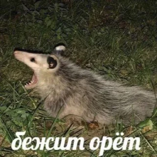 Sticker .... @sticker_emojibot - 2