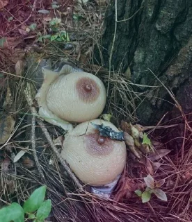 Sticker .... @sticker_emojibot - 6