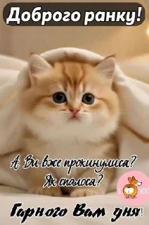 Стикер ᕰᑌᕼᕰᑌє @Stikerhi_bot - 7