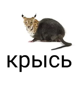 Sticker На случай ВП @sozdat_temki_bot - 7