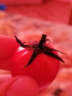 Стикер 🌄 Создать новый набор @sticker_emojibot - 2