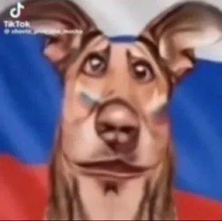 Sticker Шои @Shrifty_textbot - 2