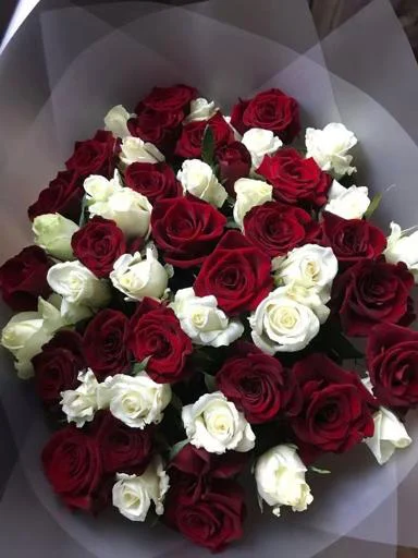 Стикер S85dPR4NFW_by_StikerProbot - 1