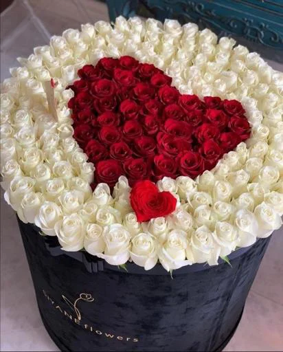 Sticker S85dPR4NFW_by_StikerProbot - 1