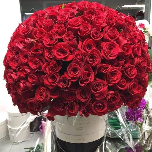 Sticker S85dPR4NFW_by_StikerProbot - 1