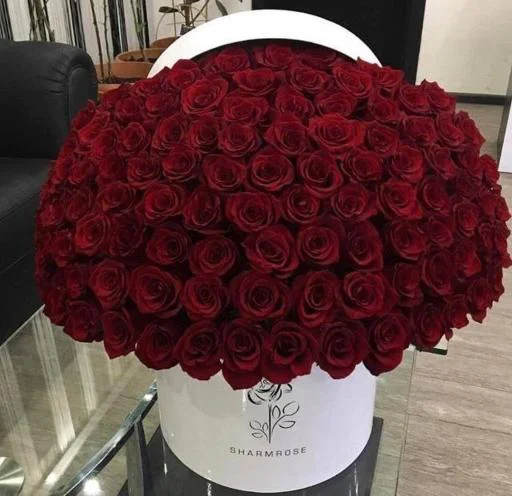 Для ❤️‍🔥ПУЛИ❤️‍🔥 от NEKIT âme🫶 @StikerProbot - 