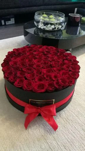 Sticker S85dPR4NFW_by_StikerProbot - 1