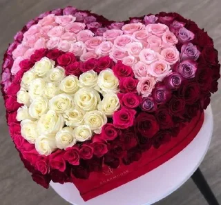 Sticker Для ❤️‍🔥ПУЛИ❤️‍🔥 от NEKIT âme🫶 @StikerProbot - 6