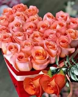 Sticker Для ❤️‍🔥ПУЛИ❤️‍🔥 от NEKIT âme🫶 @StikerProbot - 3