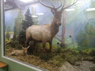 Стикер Никита @Tgthemstickbot - 0