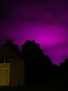 Sticker Мяу😽 @Shrifty_textbot - 3