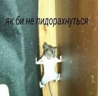 Стикер ки-сон @Shrifty_textbot - 7