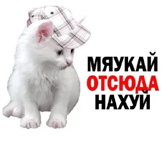 Стикер ки-сон @Shrifty_textbot - 10