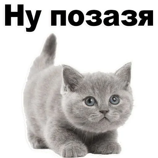 Стикер milashka @StikerProbot - 4