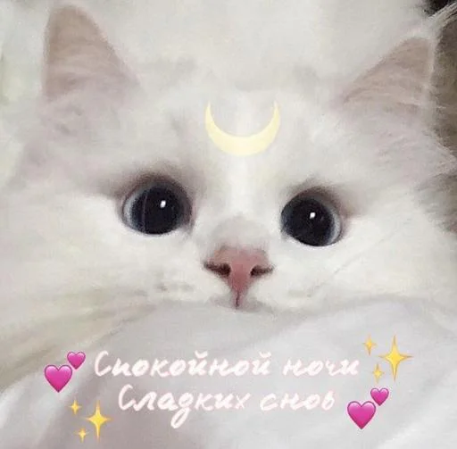 Стикер milashka @StikerProbot - 3