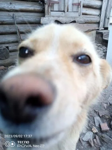 Стикер S9gqFJHs9H_by_Stikerhi_bot - 1